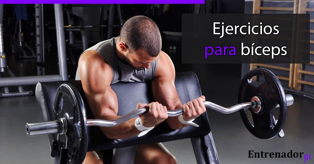 Ejercicios para Biceps